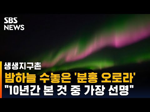 #shorts 밤하늘 수놓은 &amp;#39;분홍 오로라&amp;#39;…&amp;quot;10년간 본 것 중 가장 선명해&amp;quot; / SBS / 생생지구촌