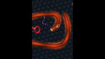 FUN Snake Game #shorts #funnyvideo #snakegame #snakerun slither.io