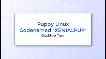 Puppy Linux XenialPup 7.5 | See What