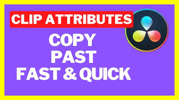 Copy And Paste Clip Attributes and Effects In DaVinci Resolve 18