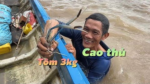Đúng là Cao Thủ mò tôm ra sông lặn hụp là dính xem đã con mắt | Cù Lao Dung Vlogs