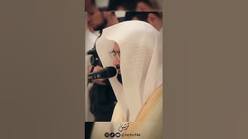 ناصر القطامي - سورة الأنعام - الآيتين [37-38]