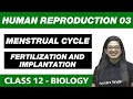 Human Reproduction 03 | Menstrual cycle, Fertilization and implantation | Class 12 NCERT