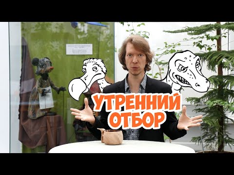 Выкопали пещерного медведя. Пещерного? Ярослав Попов.