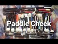Paddle Cheek Brush Collection: Overview, Comparisons, Destash
