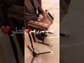 عزف قانون الله ياعمري قطر