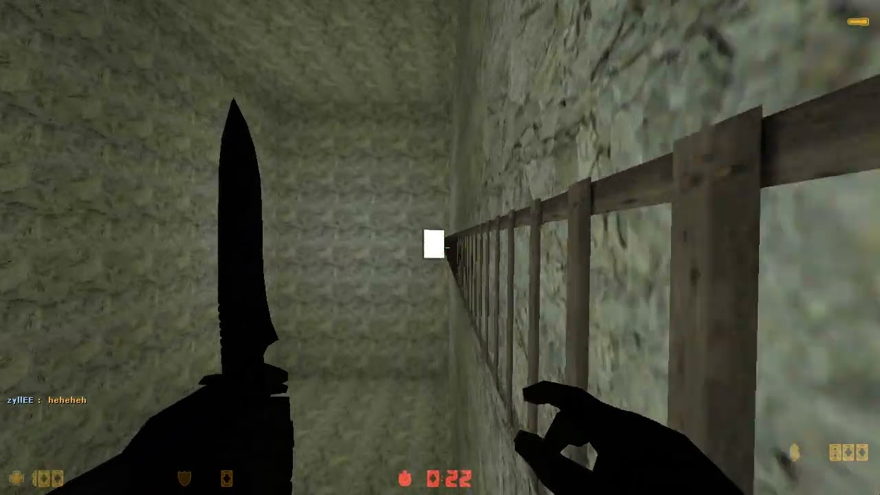 zyllEE on smk_hnseu_suicide done in 