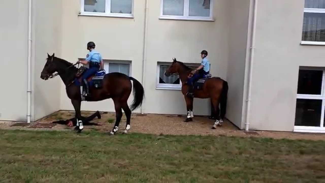 Rencontres gendarmes