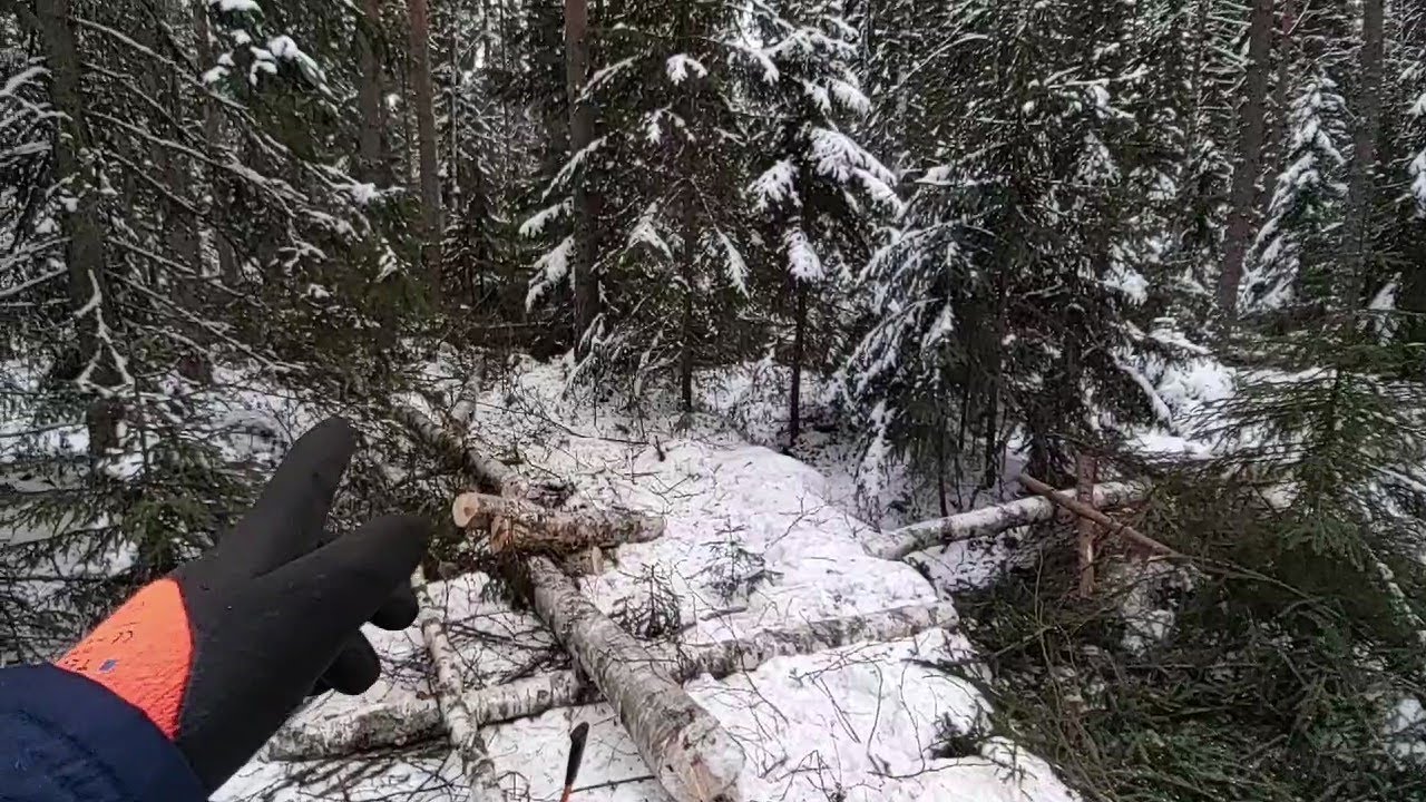 Hankintasavotan toinen päivä - salamatkustaja paljastuu!