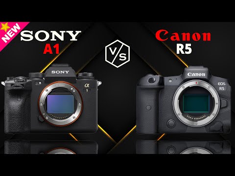 SONY Alpha A1 vs Canon EOS R5