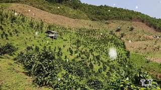 Lub Neej Nyob Toj Siab Kho Siab Heev Li 1952021