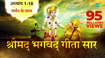 श्रीमद भगवद गीता सार | संपूर्ण गीता | Bhagawad Geeta- All Chapters With Narration| Shailendra Bharti