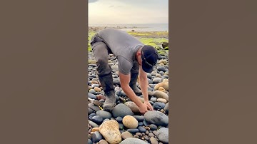 Inside, some lovely bivalve shell fossils and even some fossil poo! 😵‍💫😱