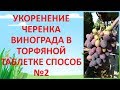 КАК УКОРЕНИТЬ ЧЕРЕНКИ ВИНОГРАДА В ТОРФЯНОЙ ТАБЛЕТКЕ СПОСОБ №2. Укоренение черенков винограда.