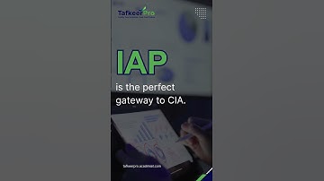 IAP – Internal Audit Practitioner