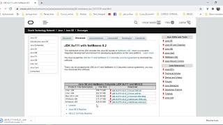 Celebrity Descarga e Instalación de JAVA Netbeans 8 Curso Java desde Cero Profile