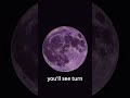 June’s full moon, the 🍓 moon. Captured this footage last night.  #moon #space #shorts