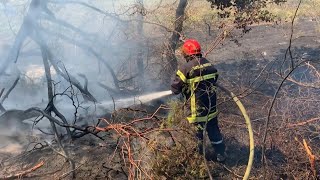 Incendie dans le Var : des pompiers à l'oeuvre à Cogolin | AFP Images