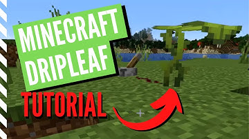 Big & Small DRIPLEAF Tutorial For Minecraft 1.17+