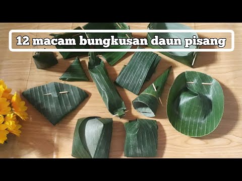 Video: Cara Menggunakan 