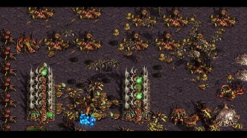 Fastest Map Ever (FME)! Evil (Z) vs QlolQ (P) on Space! - StarCraft - Brood War 2025