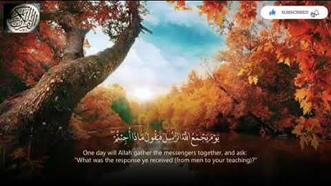 سورة المائدة بصوت دافئ | Surah Al - Maidah وهادئ للقارئ عمر بن عبدالعزيز