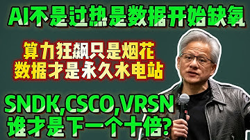 AI不是见顶是数据要爆炸，真正的大牛在台后登场了。AI的真正主线正在换位，所有忽略后台基础设施的人，都可能错过下一段主升浪。#AI数据洪流 #第二曲线 #SNDK #CSCO #VRSN
