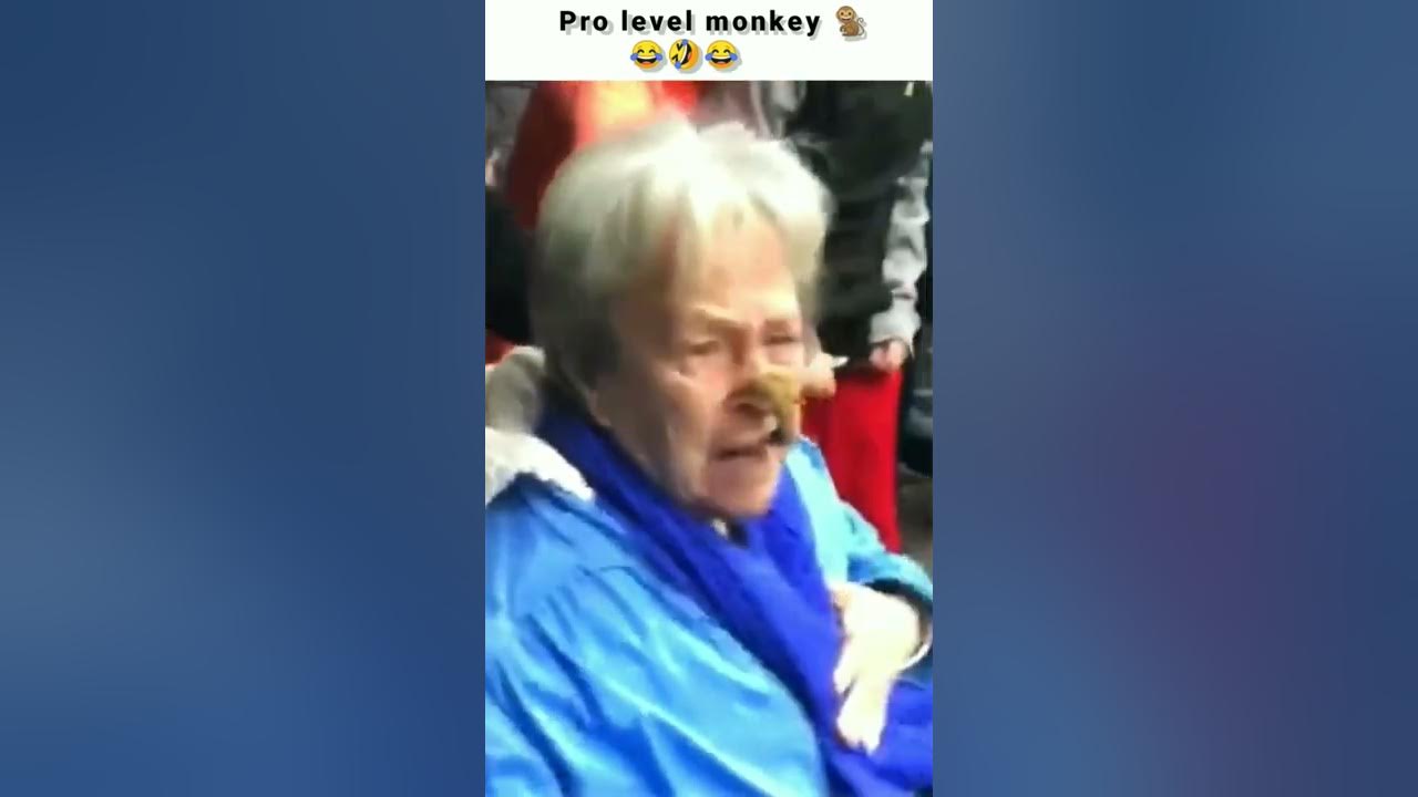 Monkey throws poop at Grandma's face 💩 YouTube