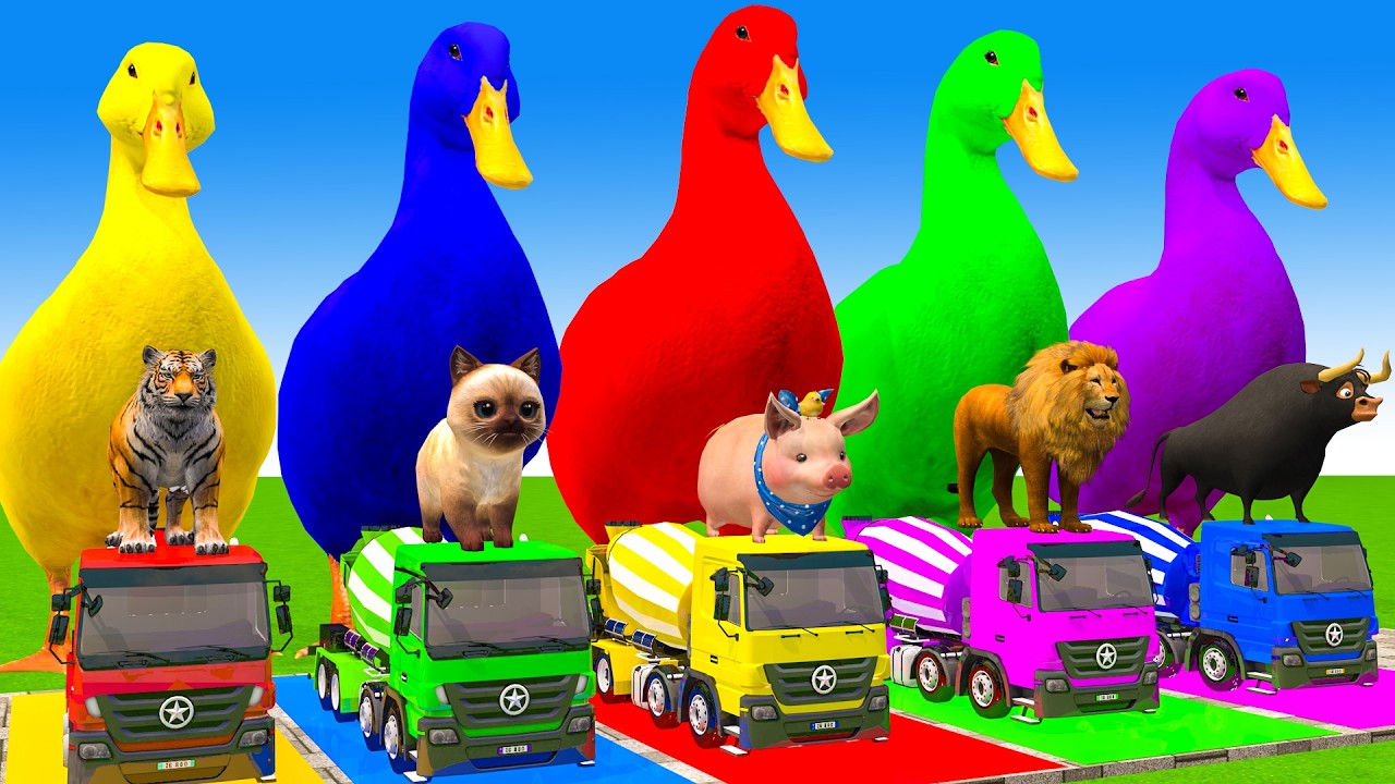 5 Giant Duck Cartoon,Cow,Elephant,Tiger,Lion,Dinosaur,Paint Wild Animals Crossing Fountain Animation