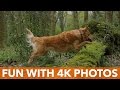 Loving 4K Photos on the Panasonic GX8 Camera