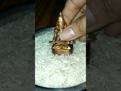 Maa Annapurna Puja Annapurna Ytshort