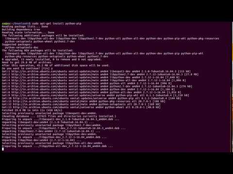 How to Install Python Pip in Ubuntu  16.04 LTS (Command Line)
