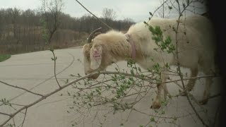 Dakota Co. Parks & Recreations Getting New Employees