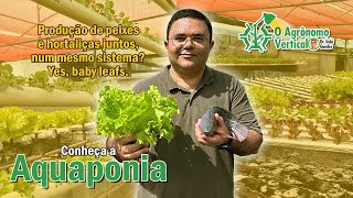 Aquaponia - produção de peixes e hortaliças num mesmo sistema