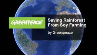Greenpeace: Stopping Amazon Deforestation for Soybeans