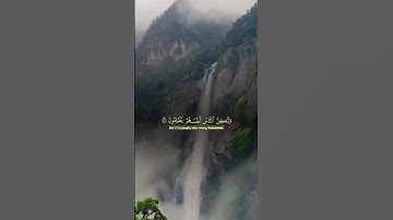 تلاوة هادئة تريح القلوب #قران_كريم #قرآن #المصحف #لايك #اكسبلور #explore