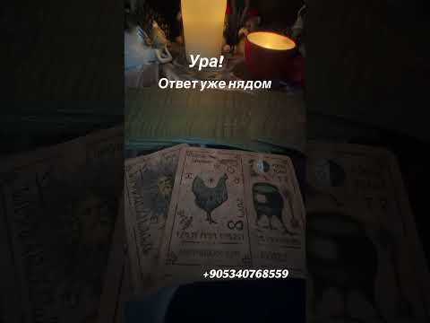 Hooray! The truth is already close! #tarot #truth