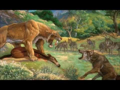 Dire wolf vs Saber Tooth Tiger