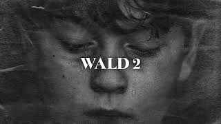 Free Sad Type Beat - &quot;WALD 2&quot; | Emotional Rap Piano Instrumental 2022