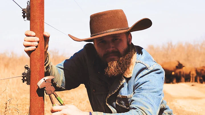 I Built a Fence to Hold BUFFALO