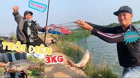 Cú Chốt Đỉnh Cao! Con Cá 3kg Kéo Căng Cần Tại Bãi Cát Izumi Sông Đồng Nai , Quá Bất Ngờ
