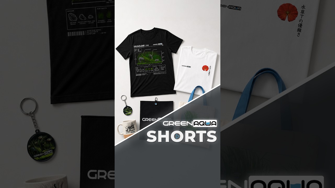 Grab your Green Aqua merch from greenaqua.com👕😍