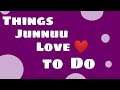 Things junnuu love to do the little junnuu shih tzu