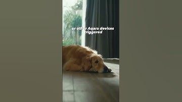 What can you do with the Aqara Curtain Driver E1?