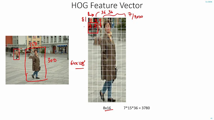 C34 | HOG Feature Vector Calculation | Computer Vision | Object Detection | EvODN