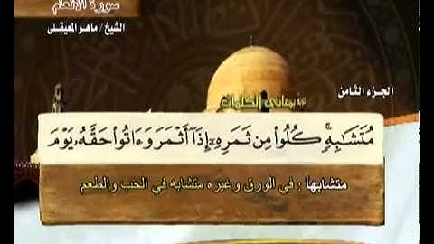 القرآن الكريم الجزء الثامن 8 الشيخ ماهر المعيقلي