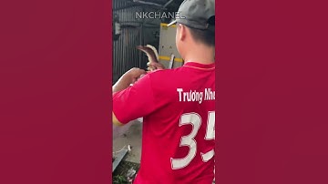 nhớ nghề quá các bác ạ