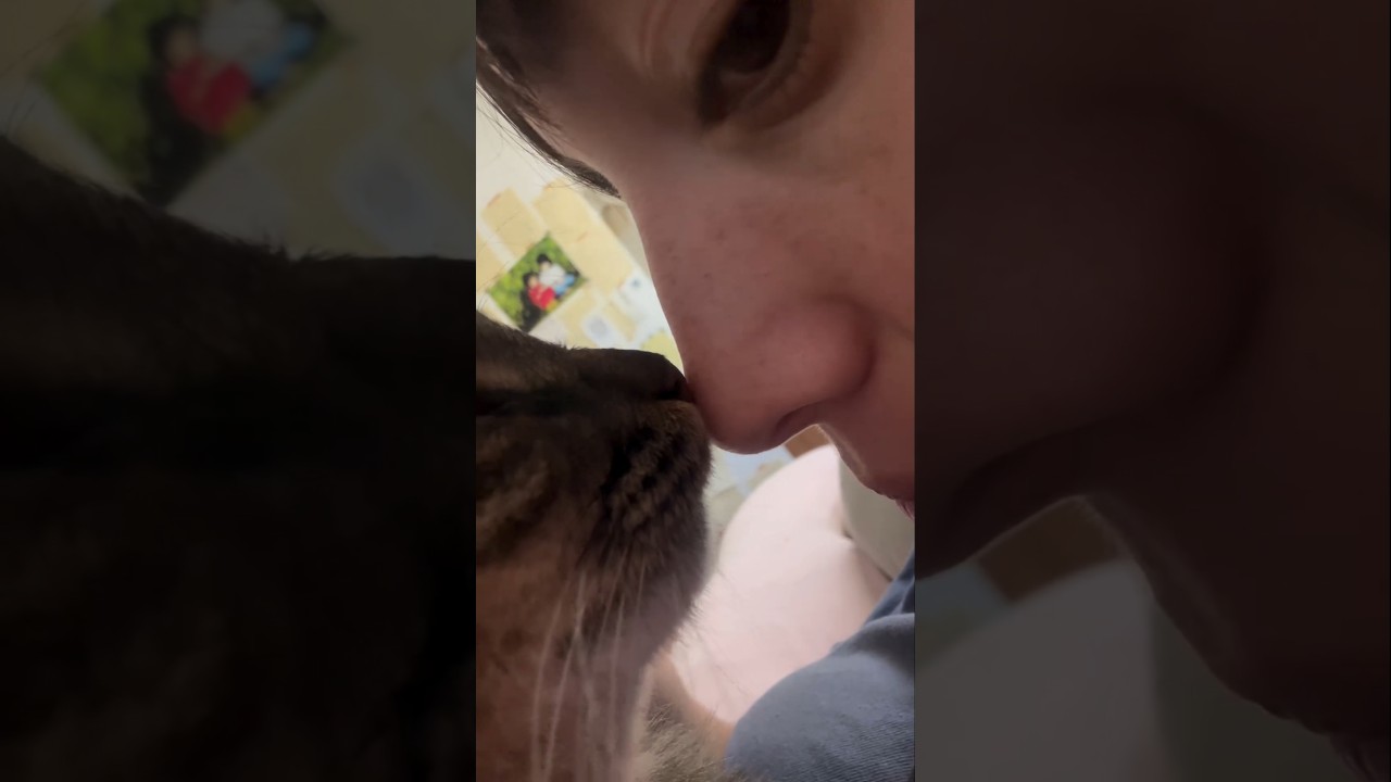 True Love 😻👩&zwj;❤️&zwj;💋&zwj;👩