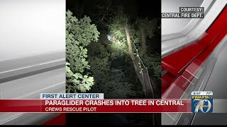 Paraglider crashes into tree in Central