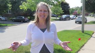 Sensory Path Video 2
